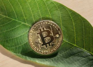 Ways The Bitcoin Is Healing The Planet Bitcoin Is Healing the Planet