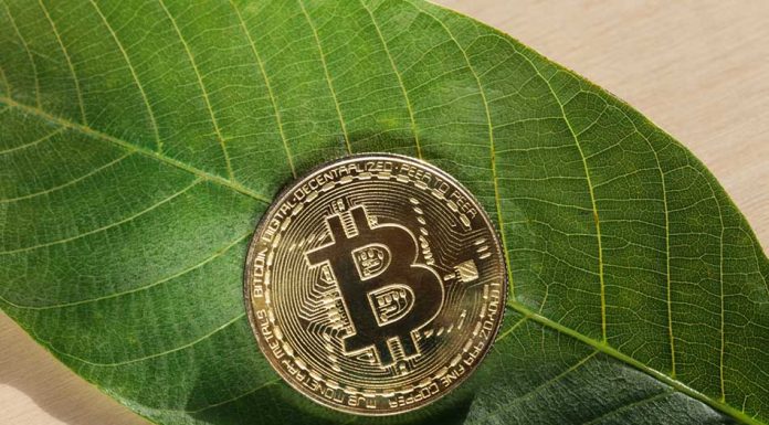 Ways The Bitcoin Is Healing The Planet Bitcoin Is Healing the Planet