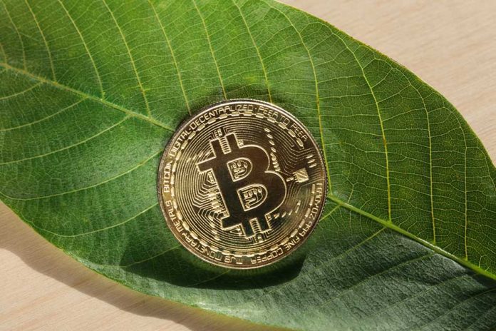 Bitcoin Is Healing the Planet