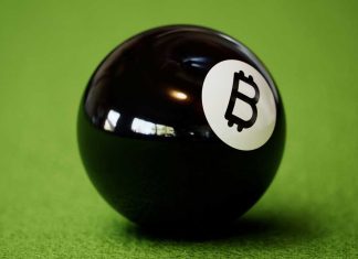 What Way Forward for Bitcoin Holds in The Sports Industry? Bitcoin in Sports Industry