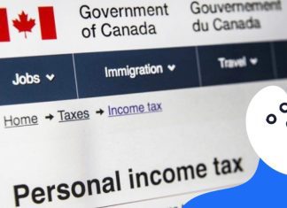 Canada Tax Forms 101 Getting Your Business Ready for Tax Season 