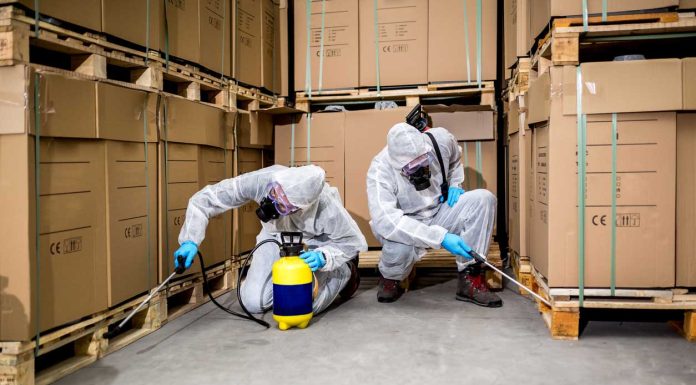 Importance of Pest Control – Why is it Necessary? Pest-Control