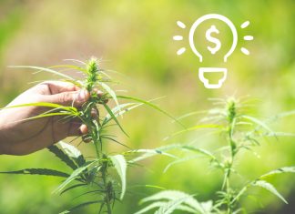 Hemp Business