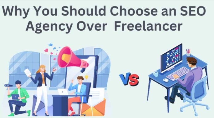 Why Should You Choose an SEO Agency Over an SEO Freelancer? SEO-Agency
