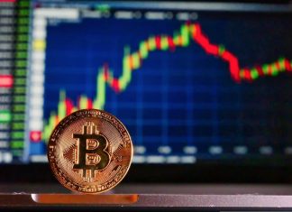 5 Reasons to Use a Crypto Loan Crypto Loan