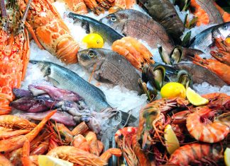 Why Restaurants Should Care About Seafood Sustainability Seafood