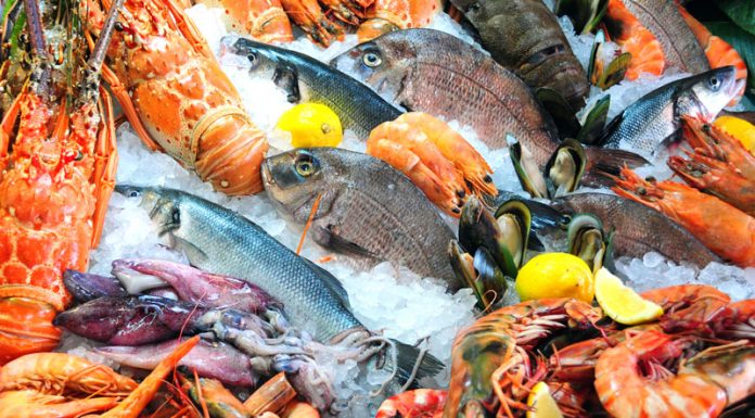 Why Restaurants Should Care About Seafood Sustainability Seafood