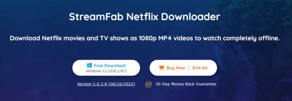 How Can You Download Netflix Shows on Laptop: Learn the Options - The