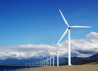 How to Make your Dream Jobs in Sustainability a Reality Sustainability