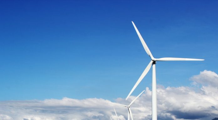 How to Make your Dream Jobs in Sustainability a Reality Sustainability