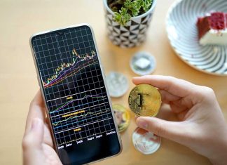 Highest Traditions to Defend Crypto Wallet from a Scammer! bitcoin anti scam