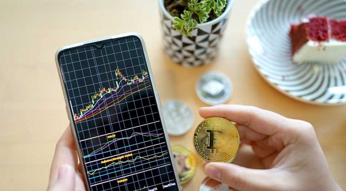 Highest Traditions to Defend Crypto Wallet from a Scammer! bitcoin anti scam