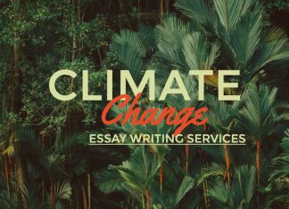climate-change-essay