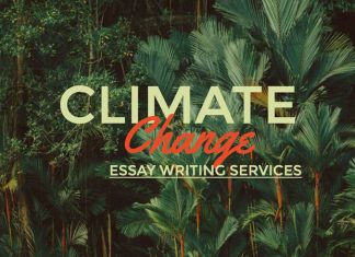 Climate Change Argumentative Essay Writing Services for Different Topics climate-change-essay
