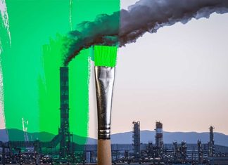 Be Honest, Don’t Greenwash: 4 Responsible Changes to Make Your Business Greener greenwashing