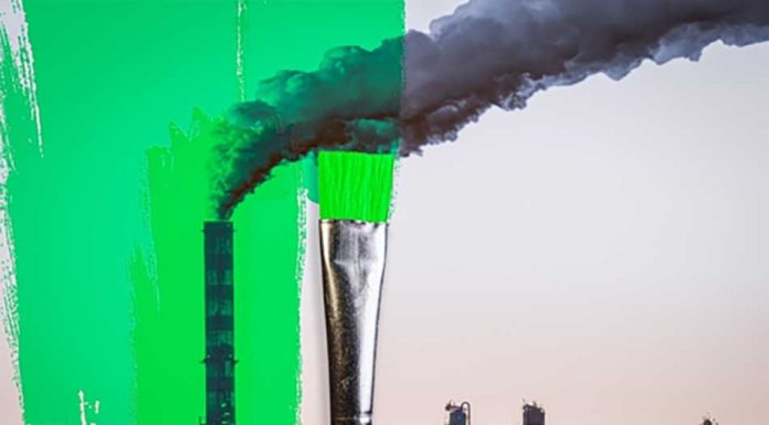 Be Honest, Don’t Greenwash: 4 Responsible Changes to Make Your Business Greener greenwashing