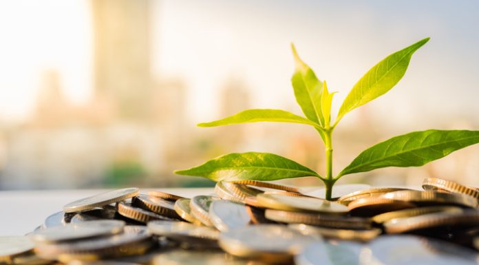 Economic Sustainability in a Time of Impact and Regulation Financial Growth