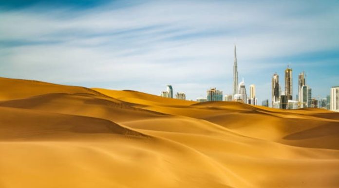 Dubai Desert Safari: Adventure That You’ve Never Done Before safari