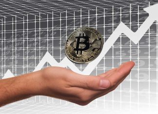 Using Cryptocurrencies For Profits And Tools For Beginners Bitcoin--