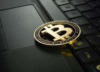 5 Tips On Starting Your Crypto Journey Bitcoins