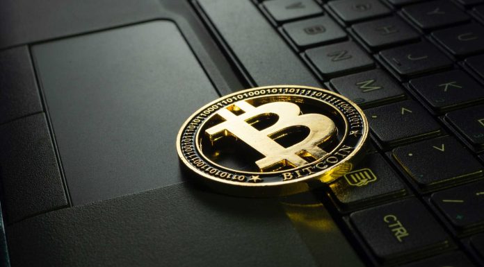 5 Tips On Starting Your Crypto Journey Bitcoins