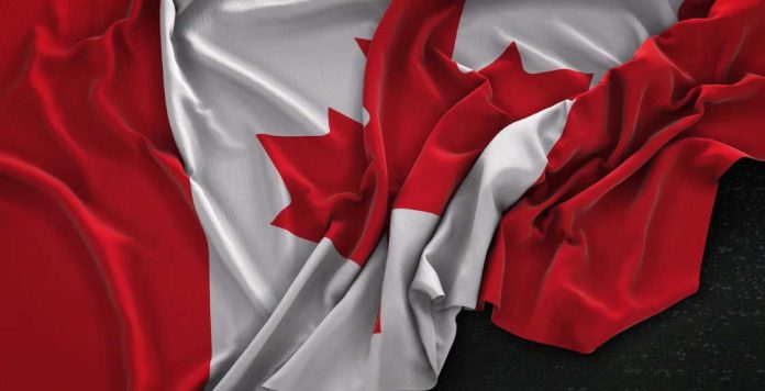 Bodybuilding Bodybuilding