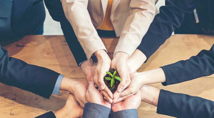 Carbon Credit Fraud: COP27 and Policing the Wild West Carbon Credit Fraud