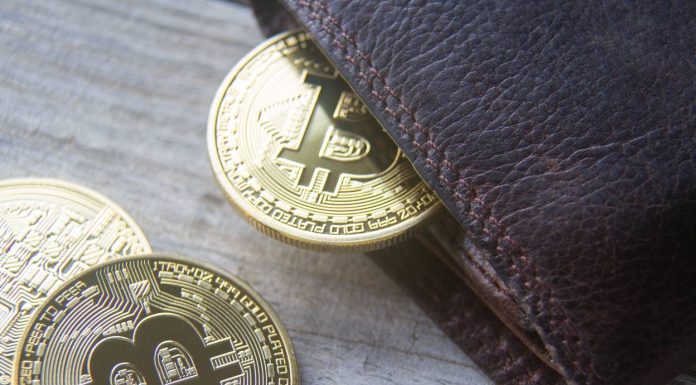 Crypto Wallet Review – Diverse Investment Opportunities Crypto Wallet