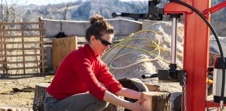 Electic-Log-Splitter