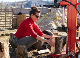 Electic-Log-Splitter
