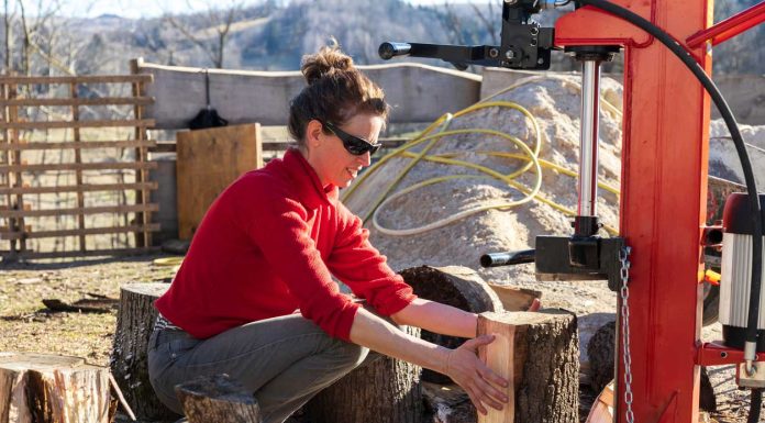 5 Good Reasons to Invest in an Electric Log Splitter Electic-Log-Splitter