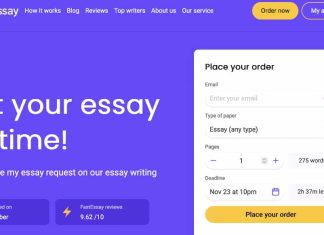 Essay