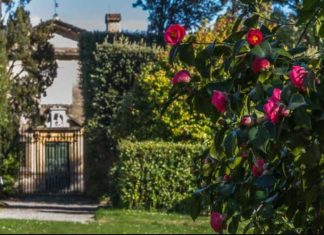 Villa-Marila