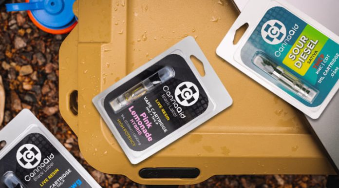 What You Need to Know About the THCP? THCP