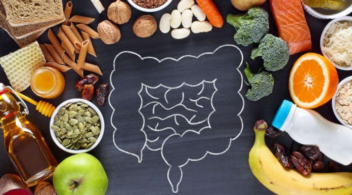 Five Factors That Impact Your Gut Health Gut Health