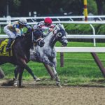 Online Horse Betting 101: A Quick Beginners Guide horse betting