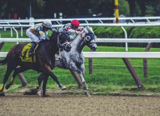 Online Horse Betting 101: A Quick Beginners Guide horse betting