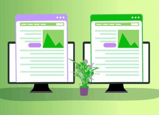 mirrored website