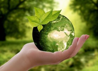 Taking Cue From Rajat Khare, Venture Capitalist Firms in Europe Have Gradually Started to Realize the Importance of Cleantech in Transforming the World