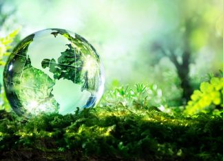 planting trees