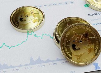Are Meme Coins A Good Choice For Crypto Gambling? Crypto-meme-coins