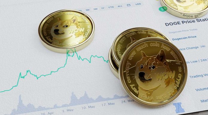 Are Meme Coins A Good Choice For Crypto Gambling? Crypto-meme-coins