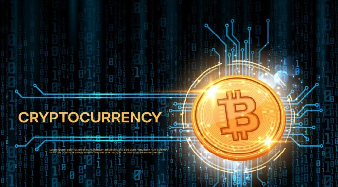 The Must-Have Bitcoin and Cryptocurrency Wallet Security Advice Cryptocurrency