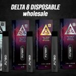 Delta-8 Disposables Online – What Does Delta-8 Disposable do? Delta-8 Disposables