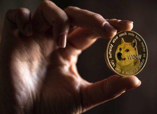 Which Meme Coin has the Most Potential? Dogecoin