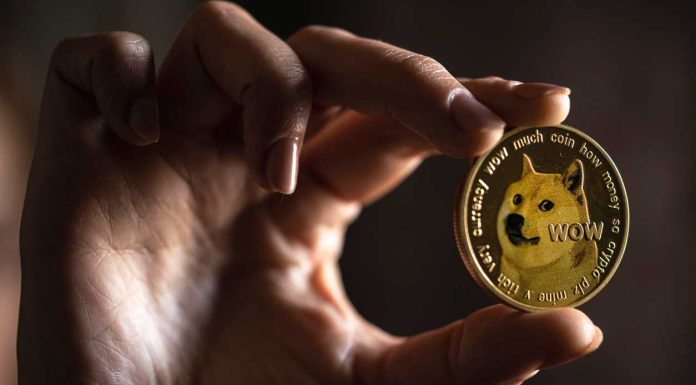 Which Meme Coin has the Most Potential? Dogecoin