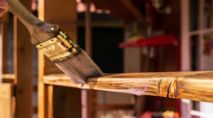 Top 4 Uses of Timber- One of the Most Coveted Woods in the World Timber