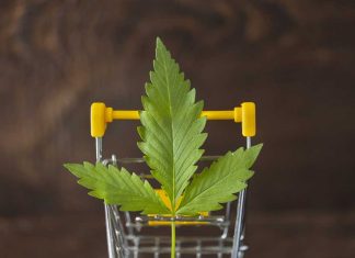 buyng cannabis