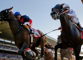 horse betting