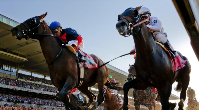 Why Horse Racing Is the Perfect Sport for Business People horse betting